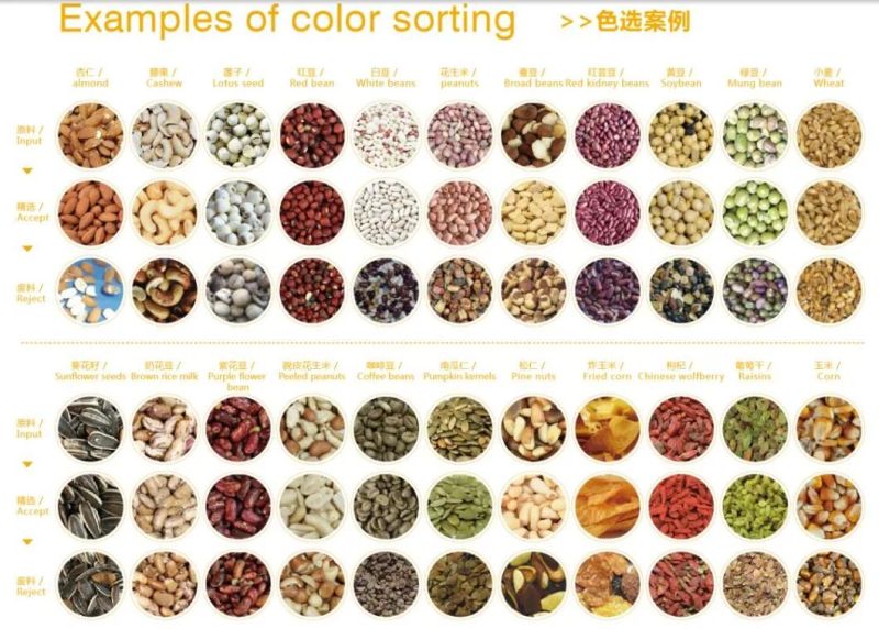 5 Chutes 320 Channels Thailand Rice Color Sorter Machine From Wenyao China