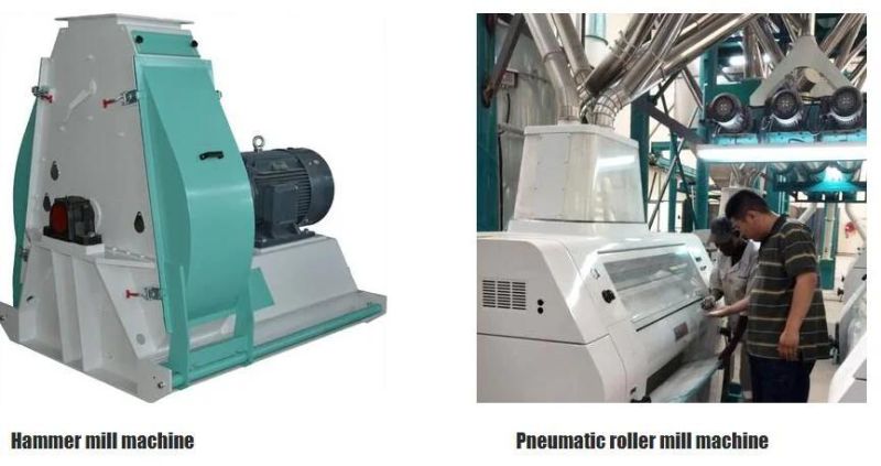Flake Roller Mill for South America Precooked Corn Flour