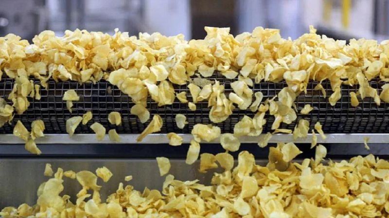 Auto Temperature Control Potato Chips Making Frying Equipment