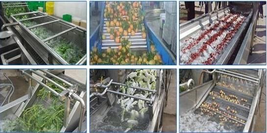 High Quality Tomato Sorting Washing Machine