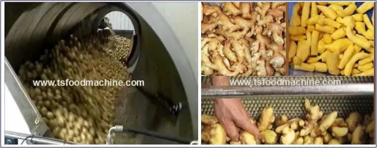 Potato Ginger Washer and Ginger Washing and Peeling Machine