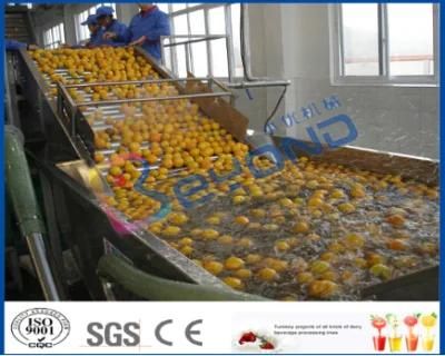 Concentrated Orange Juice Processing Line
