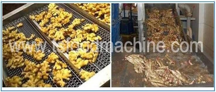 Automatic Conveyor Continuous Ginger Washer and Washing Machine