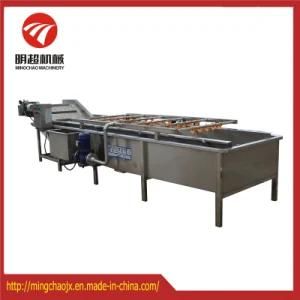 Industrial Blueberry Cleaning Machine Fruit and Vegetable Washing Line