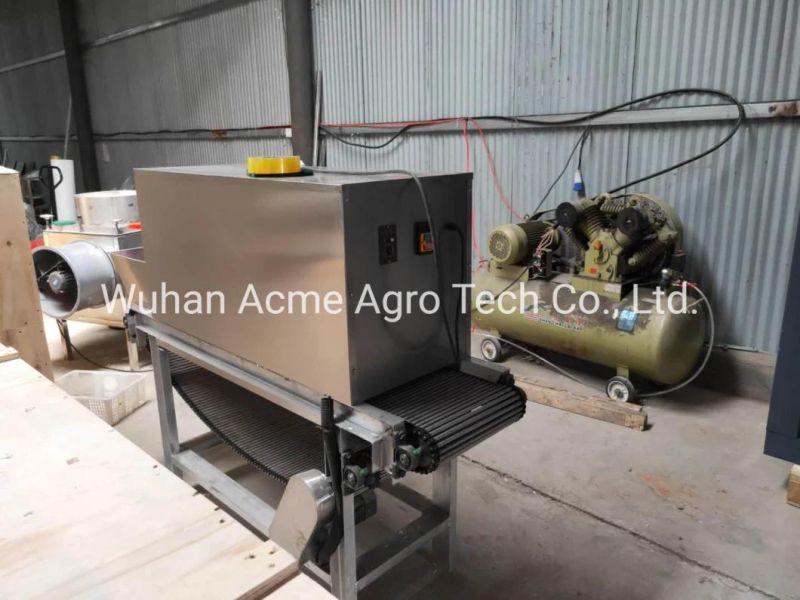 Commercial Dry Onion Peeler Machine