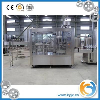 Fruit Juice Automatic Bottle Beverage Filling Machine