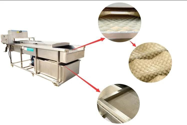 Fruits Cleaning Washer Big Tank Rush Roller Apple Orange Washing Machine