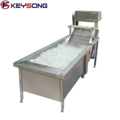 Industrial Chili Pepper Ginger Food Fruit Vegetable Washing Machinery
