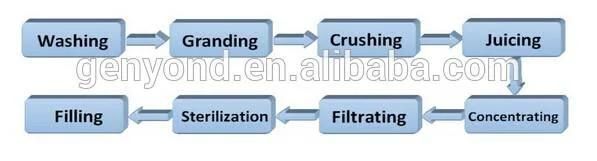 Small Capacity Fruit Juice Production Line