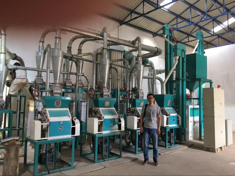 30t Maize Hammer Mill Machine in Uganda with Super Fine Flour