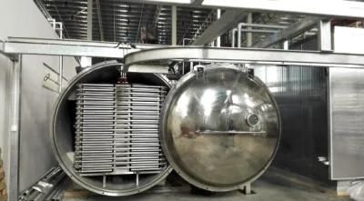 100m2 Fruit Vacuum Freeze Drying Machine Lyophilizer for Tremella Processing Industry