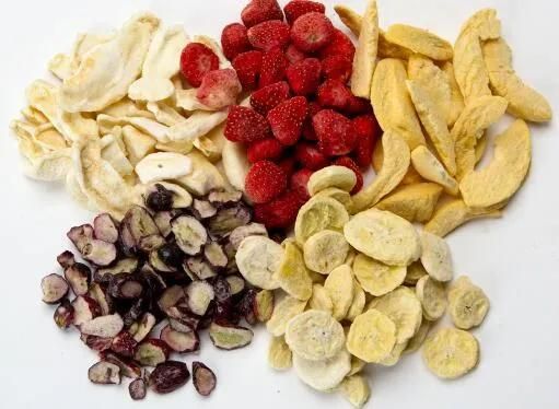 Freeze Dryer Machinery Vacuum Fruits Food Lyophilizer Machine