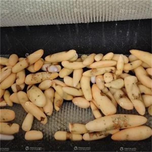 Root Vegetable Washing Machine Yam Peeling Machine