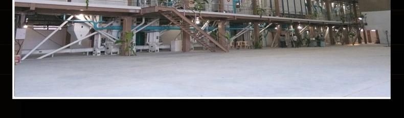Mjxt Thickness Length Thin Grader Separator Sorter Machine for Sale Price