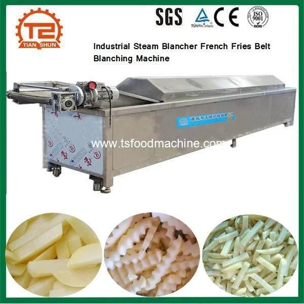 French Fries Line Industrial Steam Blancher French Fries Belt Blanching Machine