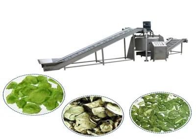 Fruit Clice Various Vegetables Drying Machine Continuous Dryer