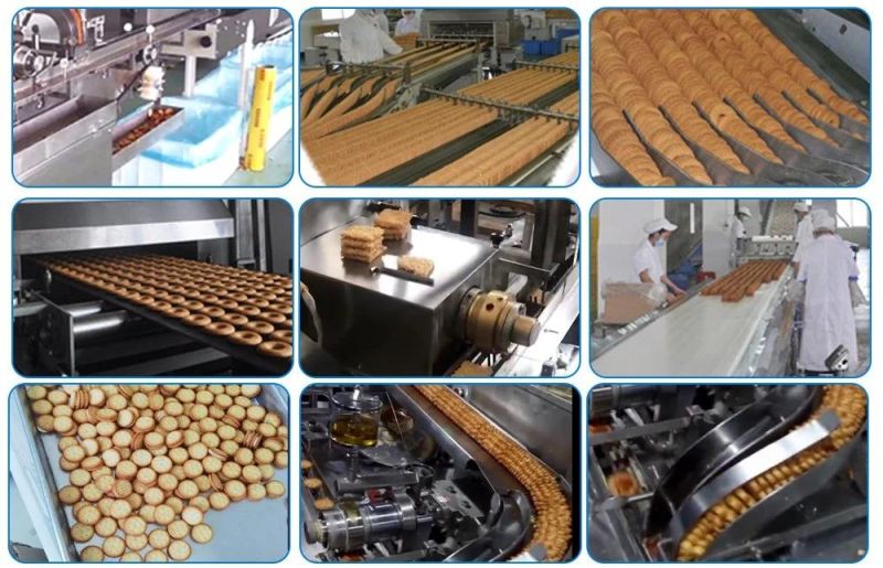 304 Stainless Steel Complete Biscuit Production Line for Walnut Cake Biscuits
