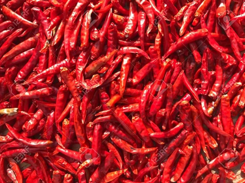 Hot Air Drying Machines Pepper Dehydrator Green Chilli Dryer Machine