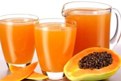 Papaya Juice Machine