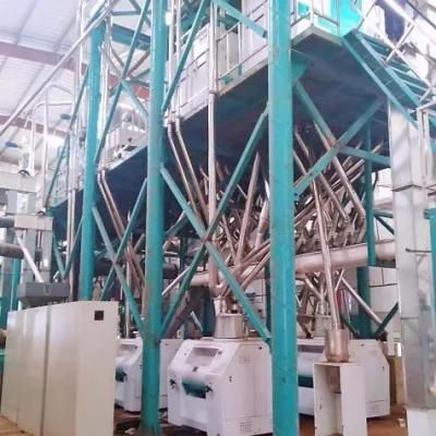 PLC Control Complete 100t/24h Maize Flour Milling Equipment for Africa Market