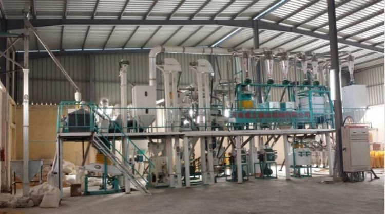 Corn Degerminator Machinery Complete Milling Plant for Maize/Corn Producing 60 Ton/Day