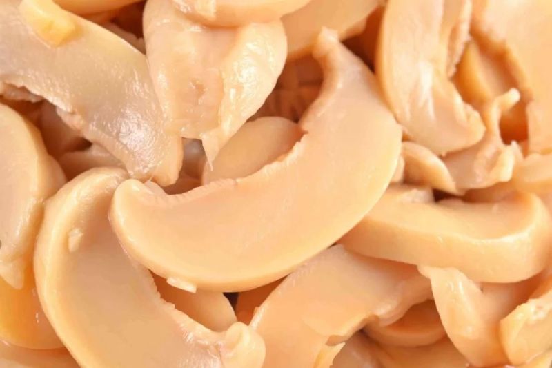 Automatic Pasteurizer and Cooling Tunnel Pasteurization for Mushroom Machine
