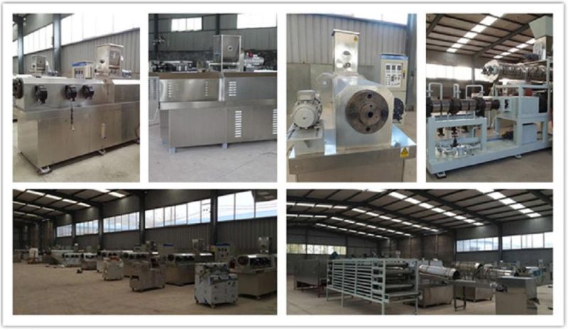 Soy Protein Chunks Meat Manufacturing Twin Screw Extruder Machine Soy Isolate Protein Production Line