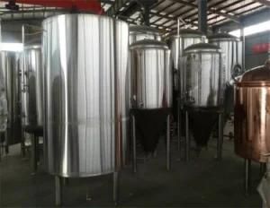 Stainless Steel 304 Food Grade Beer Brewing Equipment for Restaurant and Hotel