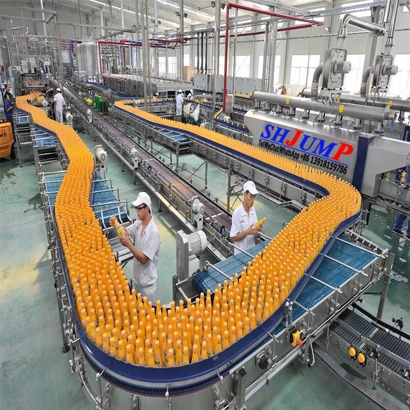 Papaya Juice Puree Jam Processing Line and Machines|Papaya Production Line and Machines|Papaya Production Plant and Machines