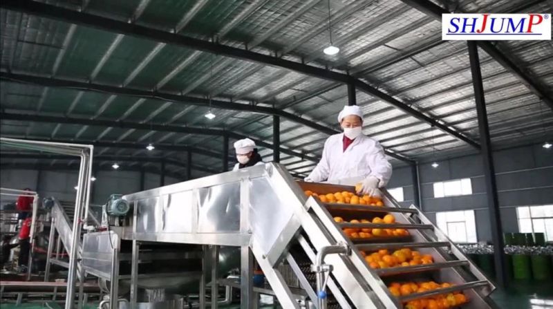 Mushroom Tins/Mushroom Slices/Mushroom Paste Processing Line/Equipment/Aseptic Filling Machine