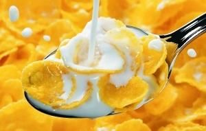 Breakfast Cereals (corn flakes) Processing Line
