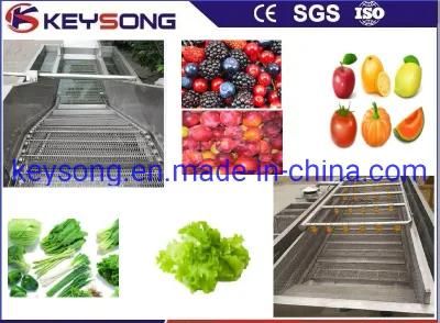 Vegetable and Fruit Air Bubble Washing Machinery