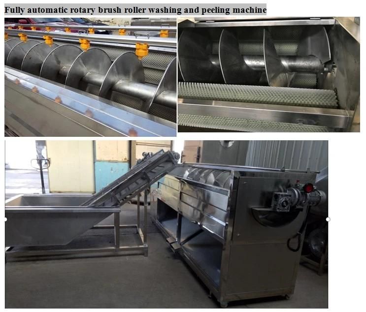 China Manufacturer Dehydrated Vegetable Processing Line