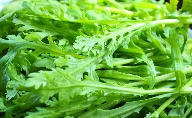 Vegetable Vibrating Screen Shake Vibration Dewatering Machine