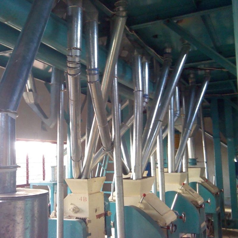 Maize Flour Milling Mill Corn Grits Grinder Processing Plant