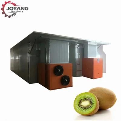 Automatic Kiwi Hot Air Pump Dryer Fruit Drying Machine