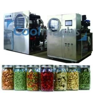 Small Capacity Pilot Vacuum Freeze Dryer for Food Industry