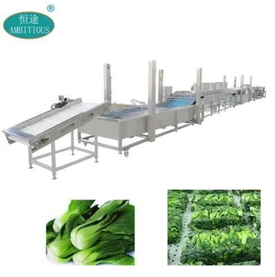 Industrial Automatic Rape Vegetable Processing Line