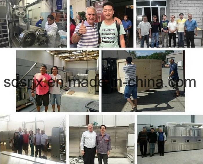 Jinan Puffed Snack Chips Manufacturer Extruder Production Line Equipment