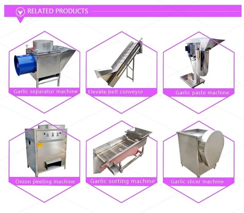 User Friendly Design Small Size Garlic Peeler Machine / Small Dry Garlic Peeling Machine