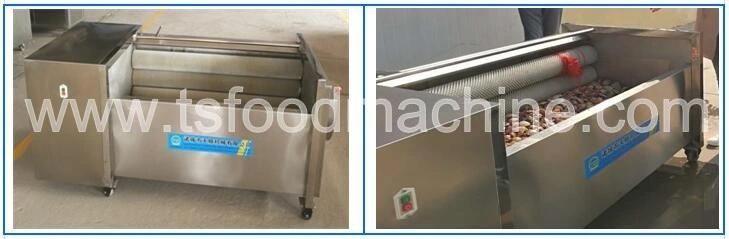 Brush Type Ginger Potato Cassava Washer and Washing Machine with Factory Price