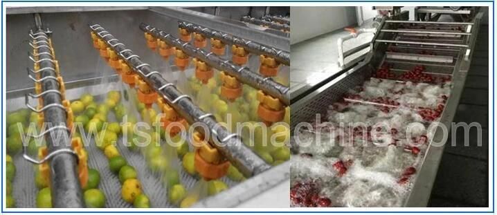 Small Automatic Fruit and Vegetable Bubble Washing Machine with Factory Price