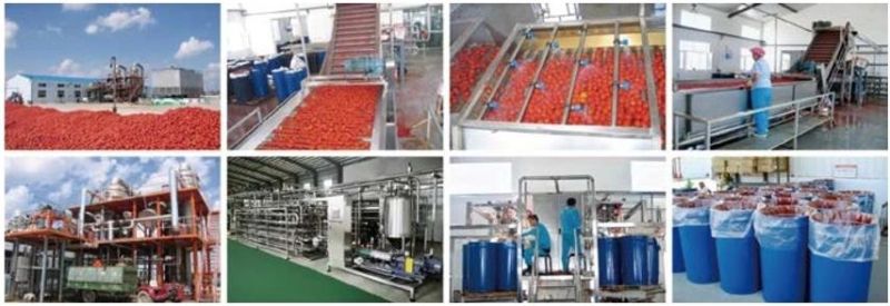 Shanghai Weishu Tomato Paste Processing Machine Tomato Juice Production Line