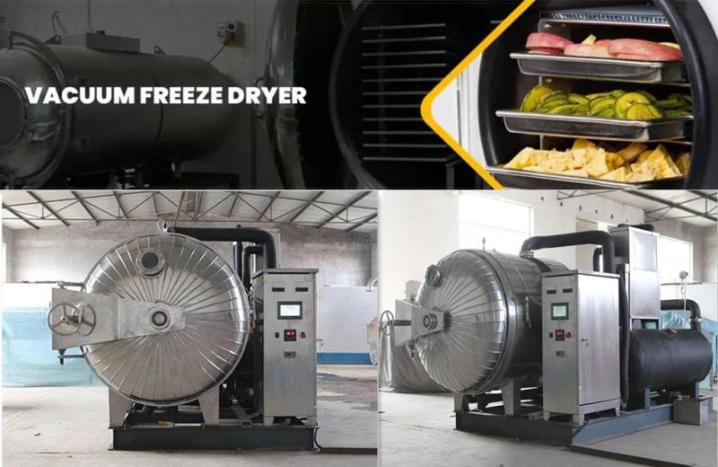 Vacuum Freeze Dryer Fruit and Vegetabls Food Freeze Dryer