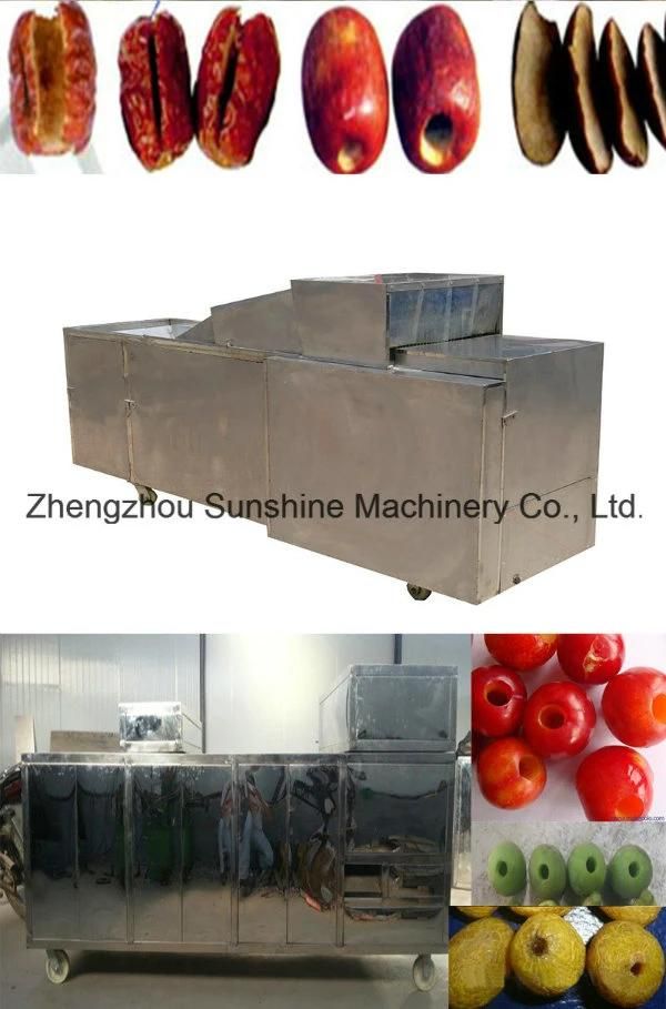 100kg Stainless Steel Date Olive Pitter Machine Olive Pitting Machine