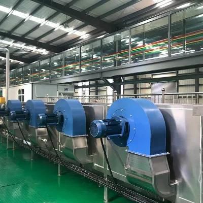 Mesh Belt Tunnel Drying Machine for Fruits and Vegetables