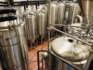 Zyb Craft Large Brewery Project with Food Grade SUS304