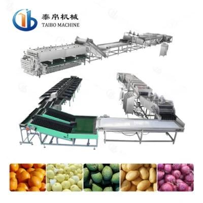 Industrial Round Fruit Washing Waxing Grading Sorting Line for Food Processing Factory