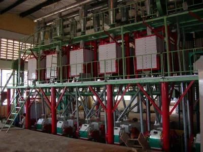 Instant Corn Flour Finishing Processing Corn Mill Line