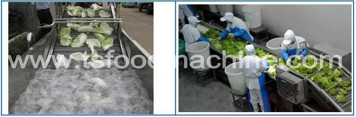 Factory Supply Leafy Vegetable Washer and Cutter Processing Machine